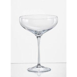 Champagne coupe effen set van 6